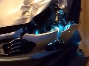 Acidente com animal solto volta a preocupar motoristas em Delmiro Gouveia