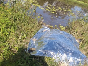 Cadáver é encontrado boiando em lagoa de Água Branca, Sertão de Alagoas