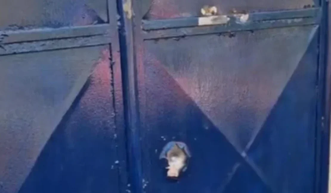 Sinteal repudia ataque a tiros contra escola indígena em Palmeira dos Índios