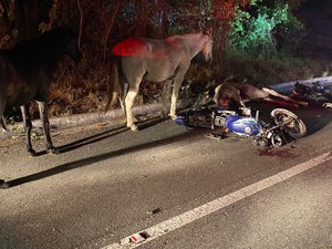 Motociclista morre após colidir em cavalo na cidade de Santana do Ipanema