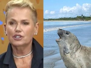 Xuxa cobra justiça após morte brutal do elefante-marinho Leôncio em Alagoas