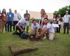 Arapiraca se consolida como referência em arborização urbana no Nordeste
