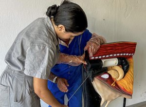 Curso de Inseminação Artificial capacitou mais de 120 alunos em 2024