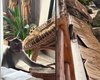 Macaco invade quarto de hotel e rouba bolsa de turista brasileira na Indonésia