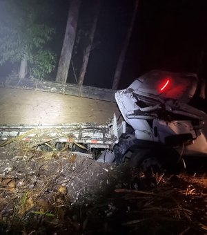 [Vídeo] Caminhão tomba em curva na BR-104 e deixa ferido em São José da Laje