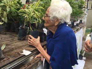 Planta Maceió: população recebe mudas para ampliar arborização