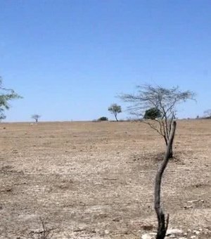 Entenda por que Piranhas decretou emergência por estiagem após estragos por chuvas