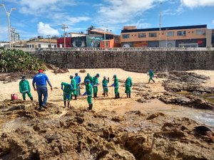Manchas de óleo voltam a atingir praias do Rio Vermelho, Stella Maris e Corsário, em Salvador