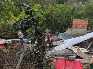 Pocilga é demolida após fiscalização no bairro São Jorge, em Maceió