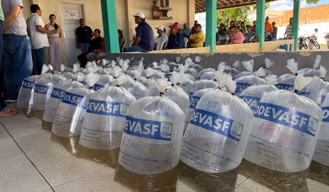 Criação de peixe em tanques escavados gera emprego e renda para agricultores penedenses