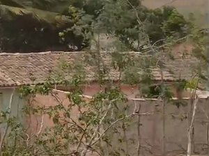 Chuvas com fortes ventos são registradas na zona rural de Limoeiro de Anadia