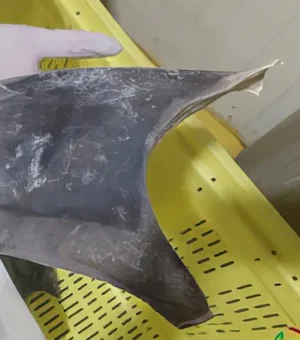 Exportação de barbatana do tubarão-azul é proibida no Brasil