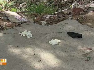 Frei é morto a golpes de faca em parque de Caruaru