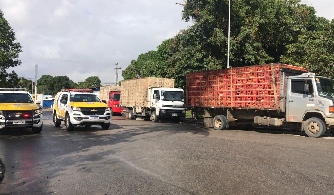 BPRv apreende caminhões com aves sem certificação sanitária em Alagoas 