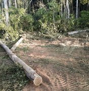 Desmatamento da Amazônia aumentou 15% no acumulado em 12 meses, diz instituto