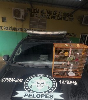 Homem que responde por tráfico é autuado por crime ambiental em Joaquim Gomes