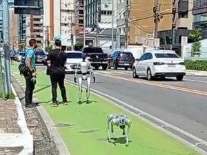 Caminhada inusitada: robô humanoide e cão robótico viram atração na Ponta Verde