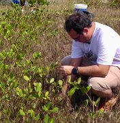 Deputado Davi Maia realiza plantio de mais de 1000 mudas de mangue