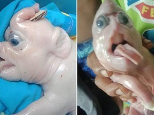 Porco 'mutante' nasce com 'tromba' na testa: 'símbolo de sorte'