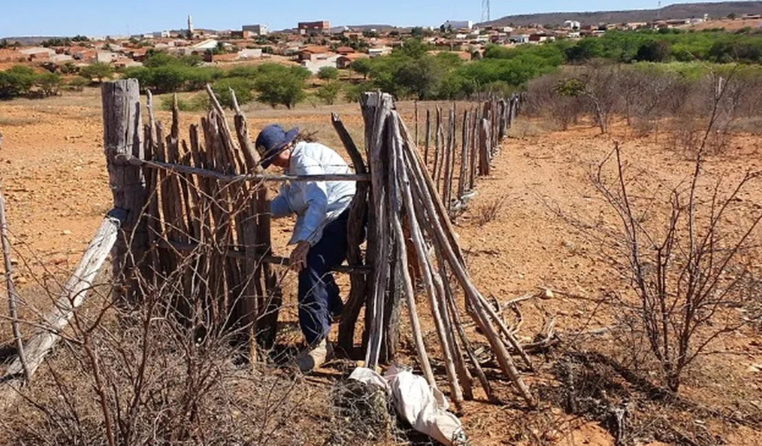Demissões de não contratados nas prefeituras entristecem o fim de ano no Sertão