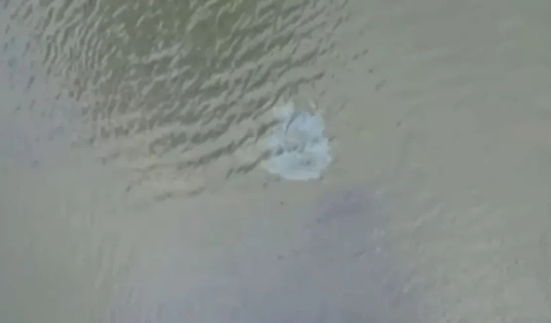 Imagens de drone mostram manchas na área da mina 18