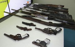 Mais de 20 armas foram apreendidas na capital e interior