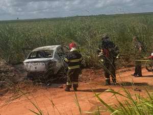 Carro pega fogo após colisão com feridos na BR-101 em Teotônio Vilela