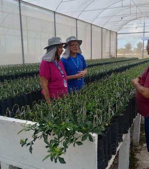 Adeal certifica viveiro de mudas de citros em Arapiraca