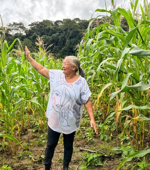 Safra boa: Agricultora comemora colheita de milho verde com sementes doadas pelo Planta Alagoas