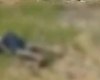 Homem é encontrado morto com marcas de tiros em Paripueira