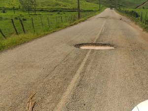 [Vídeo] Bois soltos causam perigo a condutores que trafegam na rodovia AL 105
