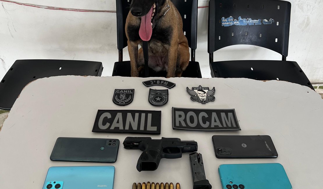 Cão farejador ajuda a prender trio com arma de fogo e drogas em Arapiraca