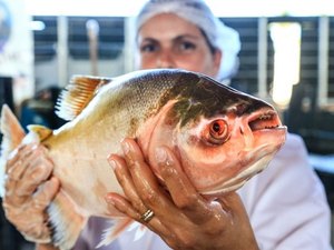 Nova edição da Feira do Peixe Vivo começa nesta sexta-feira, em Marechal Deodoro