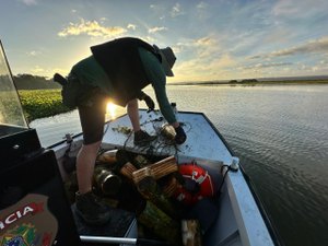 [Vídeo] Guardiões do Velho Chico: combate à pesca predatória protege vida e sustento no São Francisco