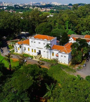 Instituto Butantan faz testes de soro em animais para tratar covid-19