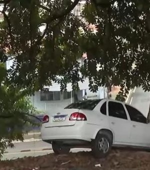 [Vídeo] Carro fica pendurado em ribanceira após invadir canteiro e bater em árvore no Farol