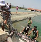 Programa Água Doce realiza segunda despesca em Cacimbinhas