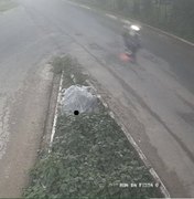 Sem habilitação, homem é preso por empinar moto em rodovia de Igreja Nova