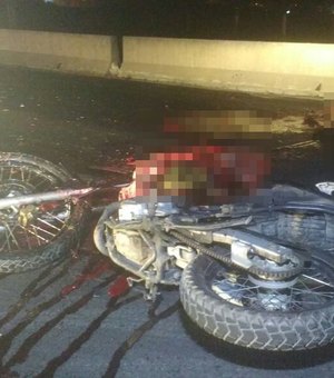 Motociclista fica ferido após colidir com animal que atravessava rodovia