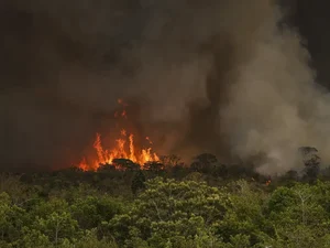 Incêndios podem ter afetado mais de 11 milhões de pessoas no Brasil, diz CNM