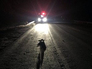 Motociclista morre colhido por utilitário de luxo em acidente na BR 316