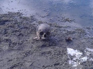 Crânio humano é achado em açude de Lagoa da Canoa