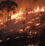 Crime ambiental: 52 inquéritos da PF investigam suspeita de incêndios criminosos