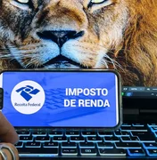 Receita abre consulta a lote da malha fina do Imposto de Renda