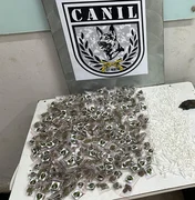 Cão farejador encontra drogas durante treinamento da PM em Arapiraca