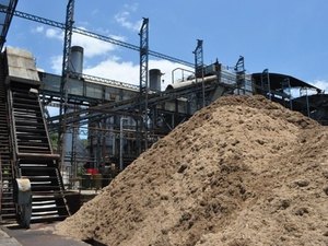 Setor sucroenergético terá crédito de R$ 1,2 bi