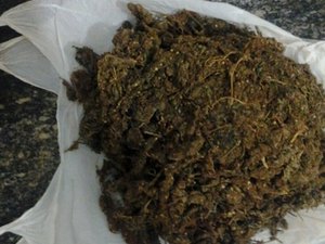 Polícia apreende quase 1 kg de maconha em ônibus