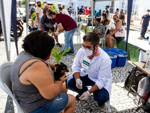 Campanha realiza mais de 700 atendimentos veterinários  nos bairros de Bebedouro e Pinheiro