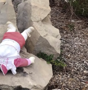 Bonecas misteriosas assustam moradores nos EUA e intrigam autoridades