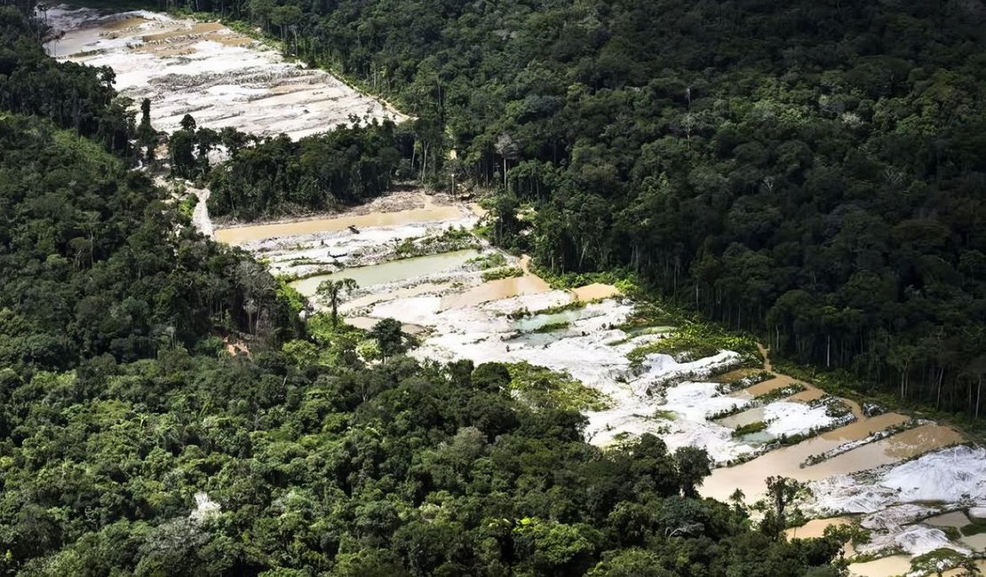 Força-tarefa destrói dez garimpos ilegais na Amazônia